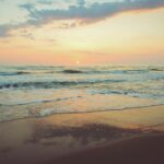 Along the Atlantic Shore
