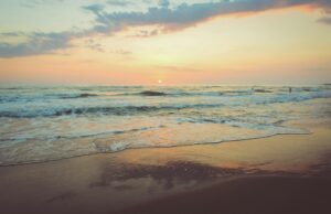 Along the Atlantic Shore