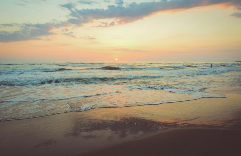 Along the Atlantic Shore
