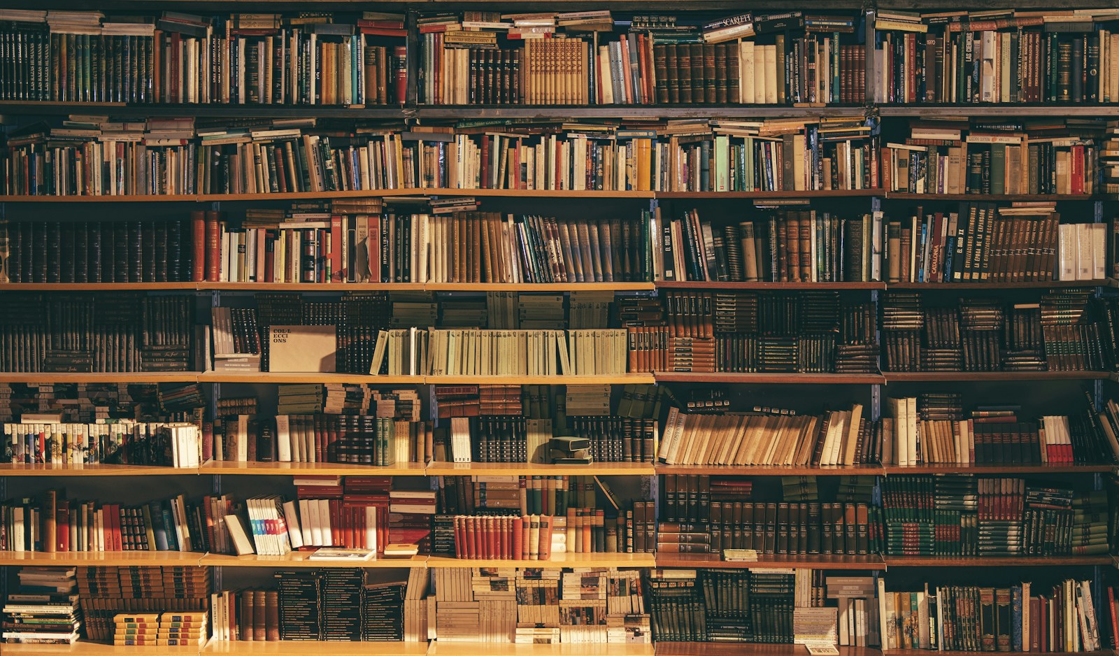 A Room for Reading